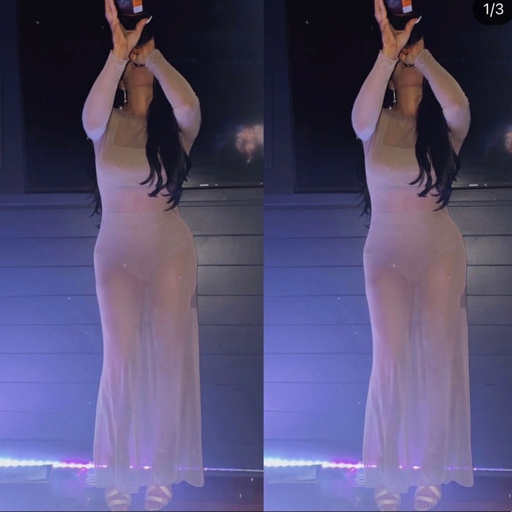 Beautiful sheer limited edition Zara dress worn once